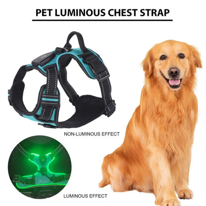 1 Set Luminous Pet Harness Rechargeable LED Lighted Dog Harness Adjustable Glowing Pet Chest Strap for Night Walking
