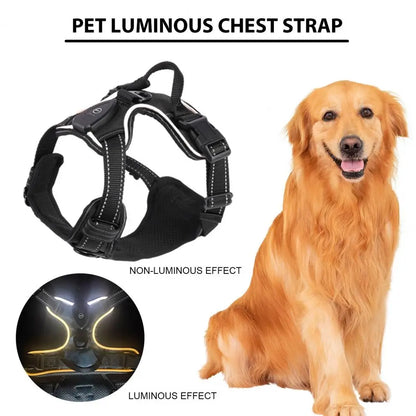 1 Set Luminous Pet Harness Rechargeable LED Lighted Dog Harness Adjustable Glowing Pet Chest Strap for Night Walking