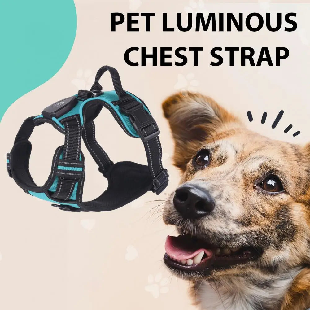 1 Set Luminous Pet Harness Rechargeable LED Lighted Dog Harness Adjustable Glowing Pet Chest Strap for Night Walking