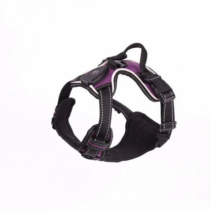 1 Set Luminous Pet Harness Rechargeable LED Lighted Dog Harness Adjustable Glowing Pet Chest Strap for Night Walking